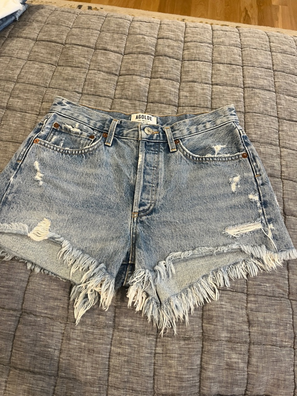 Agolde Parker Shorts in Swapmeet